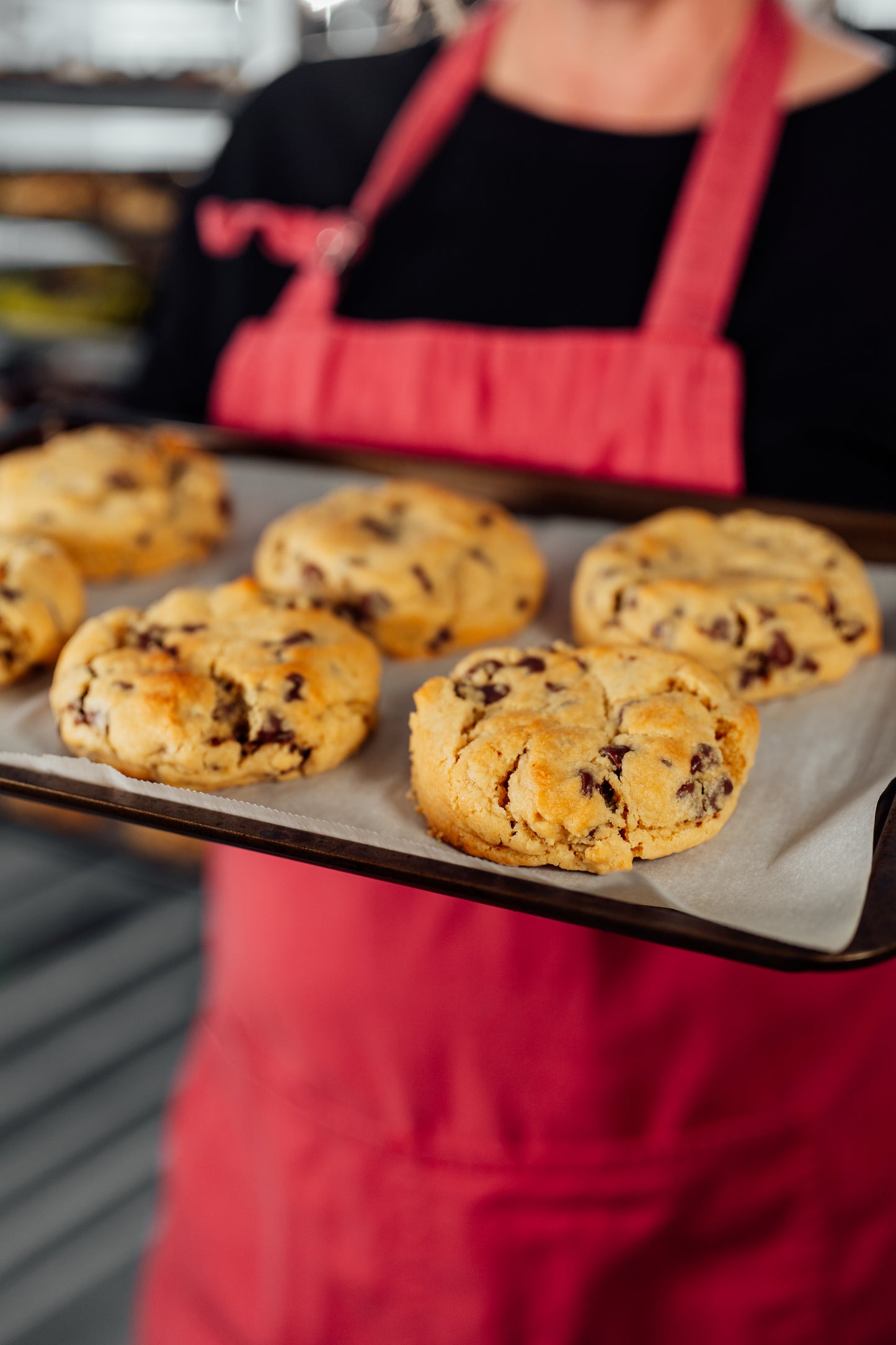 Forsyth Park Chocolate Chip cookie, set of 8